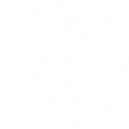 Bitcoin Icon