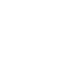 Litecoin Icon